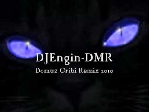 Domuz Gribi Remix 2010.v.s.DJEngin-DMR.