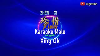 Download lagu 珍惜  Zhen Xi Male | Mandarin Karaoke No Vocal mp3
