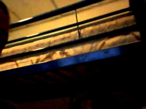 download lagu mp3 mp4 K8o, download lagu K8o gratis, unduh video klip K8o
