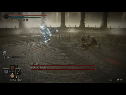 ELDEN RING Boss VS Boss “Death” Rite Bird's Dragon Slaying Journey 13