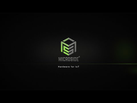 Microside Technology