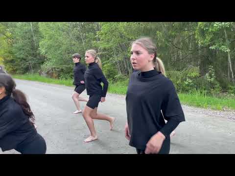 Modern jazz 4 - Dansstationen Mariestad VT-21