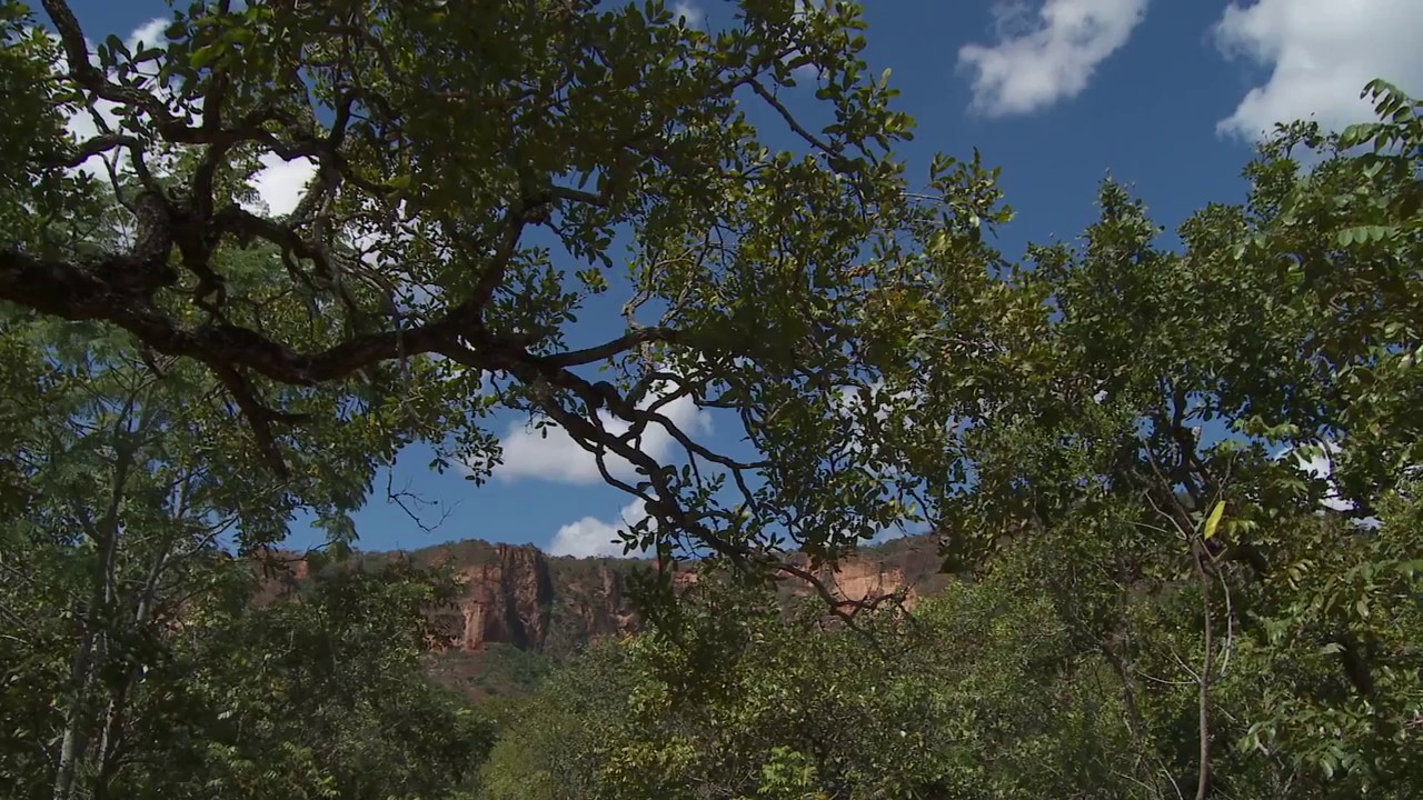 Nuvens de Veneno | documentário