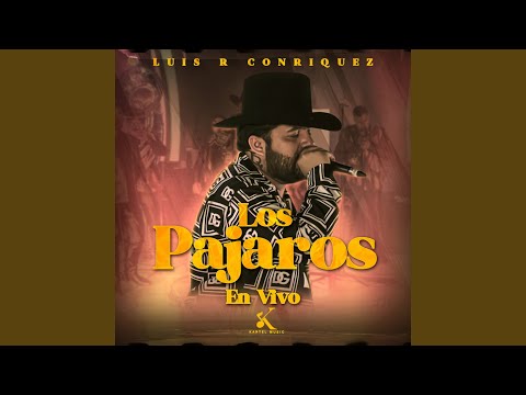 Los Pajaros (En Vivo)