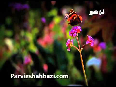 Hamid Saidi, Mehrdad Arabi  Shaneh