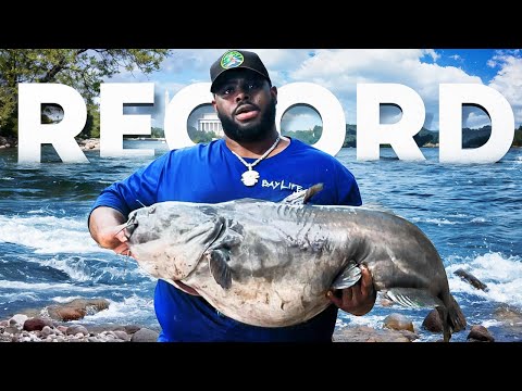How To Catch A Big Catfish From The Bank (New PB)