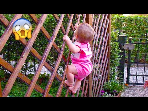 Funniest Sneaky Babies Steal Everything | FAILS BOSS