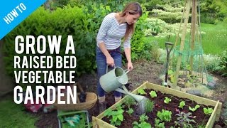How to grow vegetables  in raised bed gardens