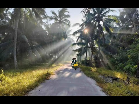 Chờ hoa biết nói - Hồng Tước