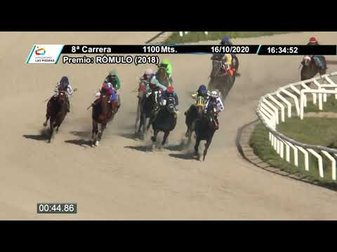 201016 c08 - OURO BEL (BRZ) 1° - HIPODROMO LAS PIEDRAS