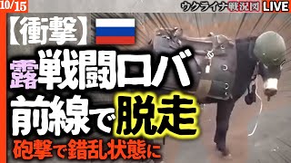 【衝撃】ロシア軍ついに「戦闘ロバ」投入！🐴防弾チョッキで完全武装も前線から脱走…！ウクライナ東部で泥沼の消耗戦で錯乱状態【最新ウクライナ戦況図Live】ロシア軍ドネツク激戦地で二重に包囲され悲惨な運命