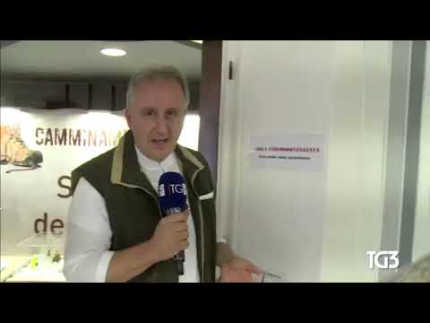 20190818 Servizio Rai3 Nazionale TG ore 19:00 - mostra Camminamente di Antonio Gregolin