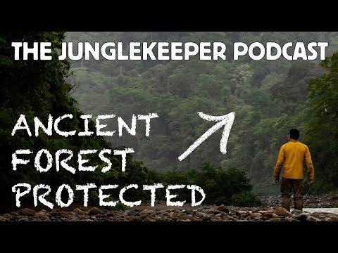 The Junglekeeper Podcast: Episode 1, THE ANCIENT FOREST