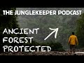 The Junglekeeper Podcast: Episode 1, THE ANCIENT FOREST