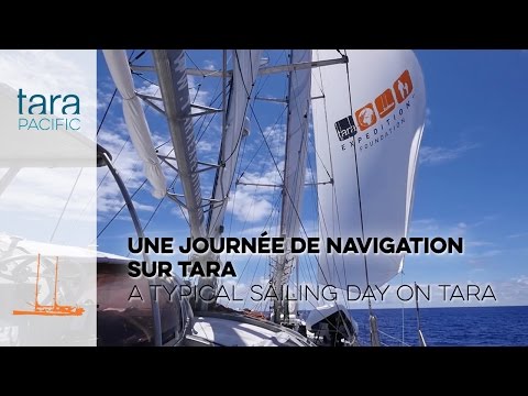 [Tara Pacific] Une journée de navigation sur Tara // A typical sailing day on Tara