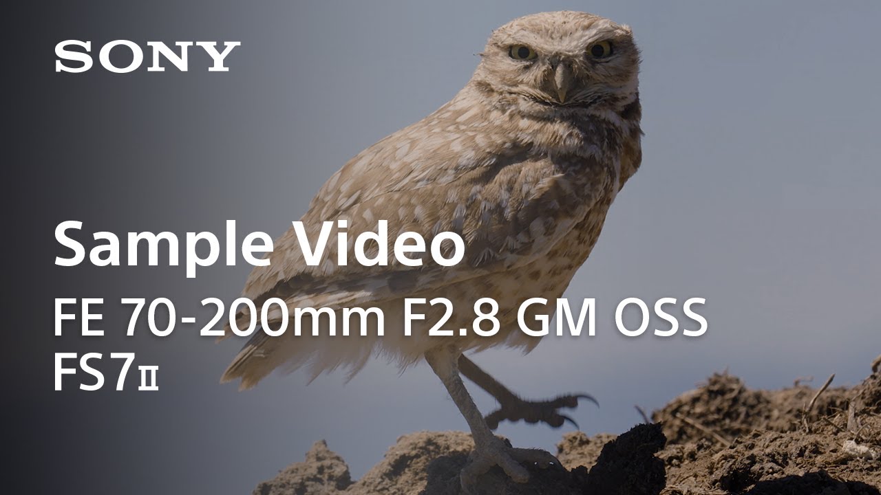 Video thumbnail for Video Review 3