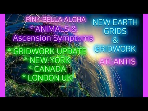 🌎 🐾 ANIMALS & Ascension Symptoms 💚 NEW YORK 💙 Canada 💜 London UK 🌎 Gridwork Update & Dragons!🐉