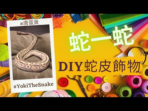 蛇皮 招財