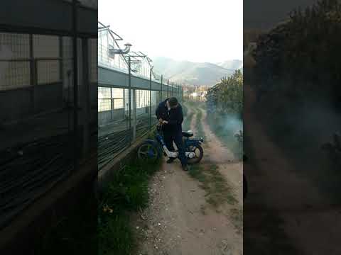 QUANTA IGNORANZA CON UN 2T