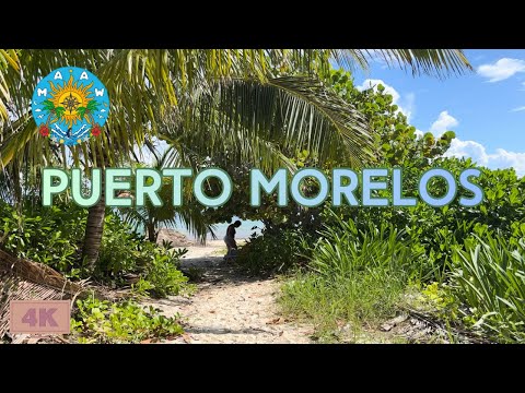 Puerto Morelos Jungle Walk 4K | From The Fives to Desire Resorts (All-Inclusive Route)