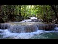 Waterfall Gentle Stream Sound In Forest 24 7 Waterfall Sounds Flowing Water White Noise For Sleep
