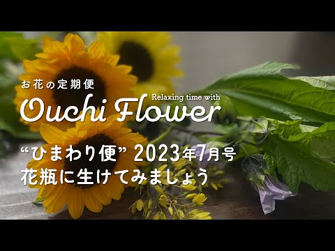 花瓶に生けたひまわり: こうすることで新鮮さが長持ちします 植物