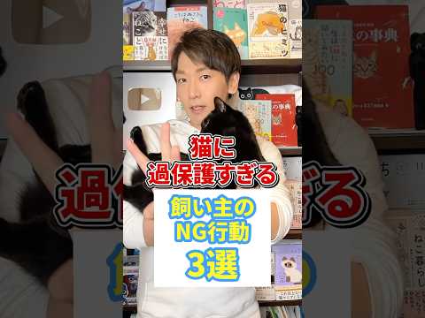 猫にストレスを与える11のこと