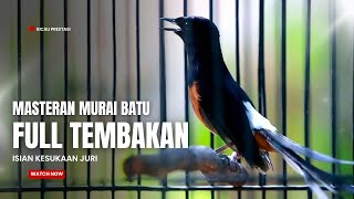 Download lagu MURAI BATU GACOR FULL ISIAN TEMBAKAN MEWAH AMPUH UNTUK MELATIH MURAI BATU BONGKAR ISIAN mp3 Download lagu MURAI BATU GACOR FULL ISIAN TEMBAKAN MEWAH AMPUH UNTUK MELATIH MURAI BATU BONGKAR ISIAN mp3