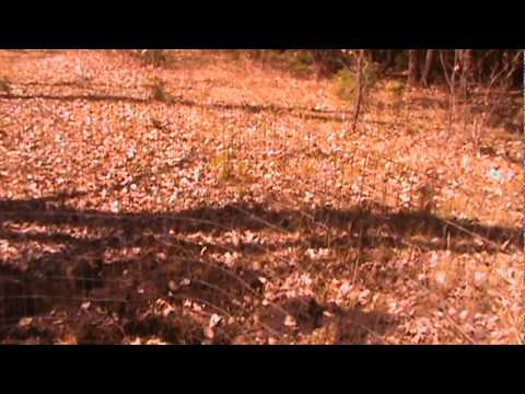 Mini-Greenhouse and Chicken Coop Construction