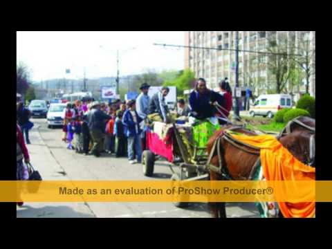 Florin blaj Trec tiganii . la bacau