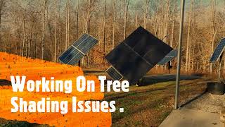 Cutting down trees to reduce shading issues on solar trackers.