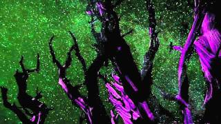 Alan Parsons - The Eagle Will Rise Again (Starseed 2)