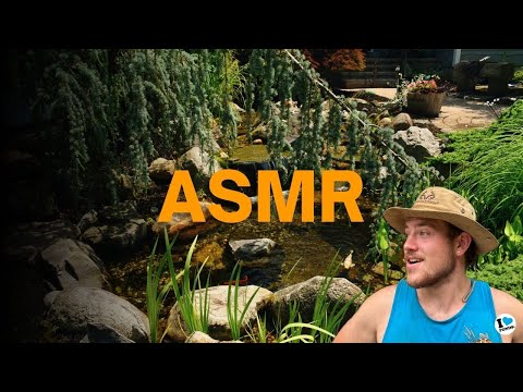 PONDLESS WATER FEATURE ASMR | SOOTHING BACKYARD WATER FEATURE