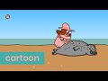 To the rescue! | Varkentje Rund