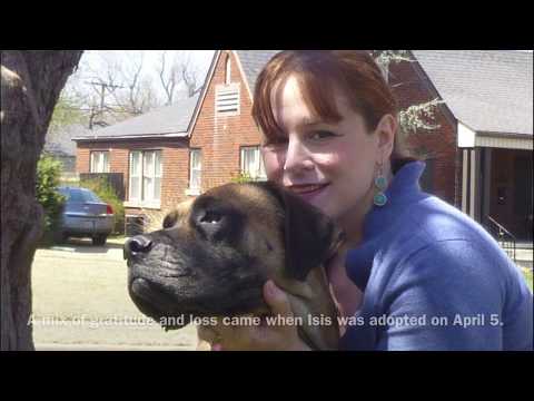 The Story of Hazel aka Isis