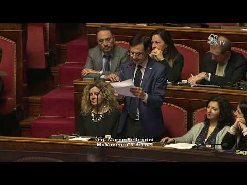 Marco Pellegrini (M5S) sul taglio dei parlamentari #TagliaPoltrone