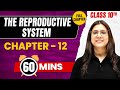 THE REPRODUCTIVE SYSTEM In 60 Mins Complete Chapter Class 10 ICSE BIOLOGY