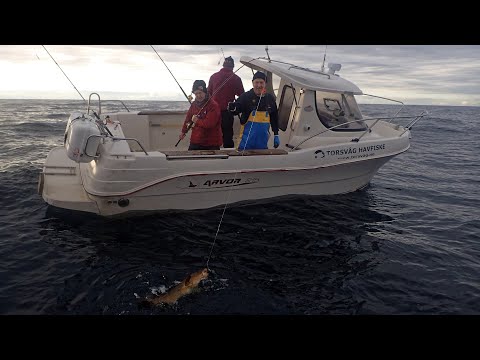 Torsvåg Havfiske