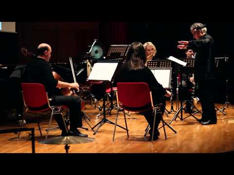 'Brainswarm' - Leontios Hadjileontiadis