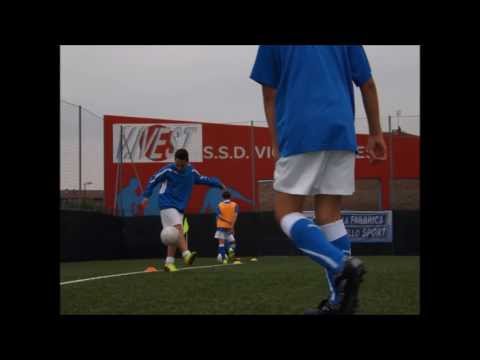 Victoria Ivest 2001 - Stagione 2013-14