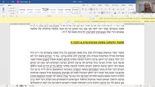 תלמוד ירושלמי מסכת שביעית פרק א הלכה ד