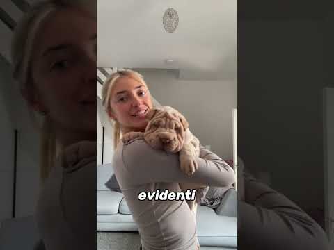 Ha adottato un cane pieno di rughe 🥺