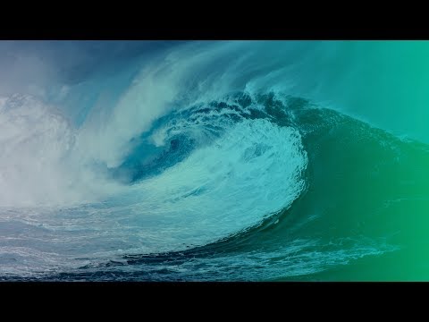 Harold-Alexis - The Ocean's Feedback [Silk Music]