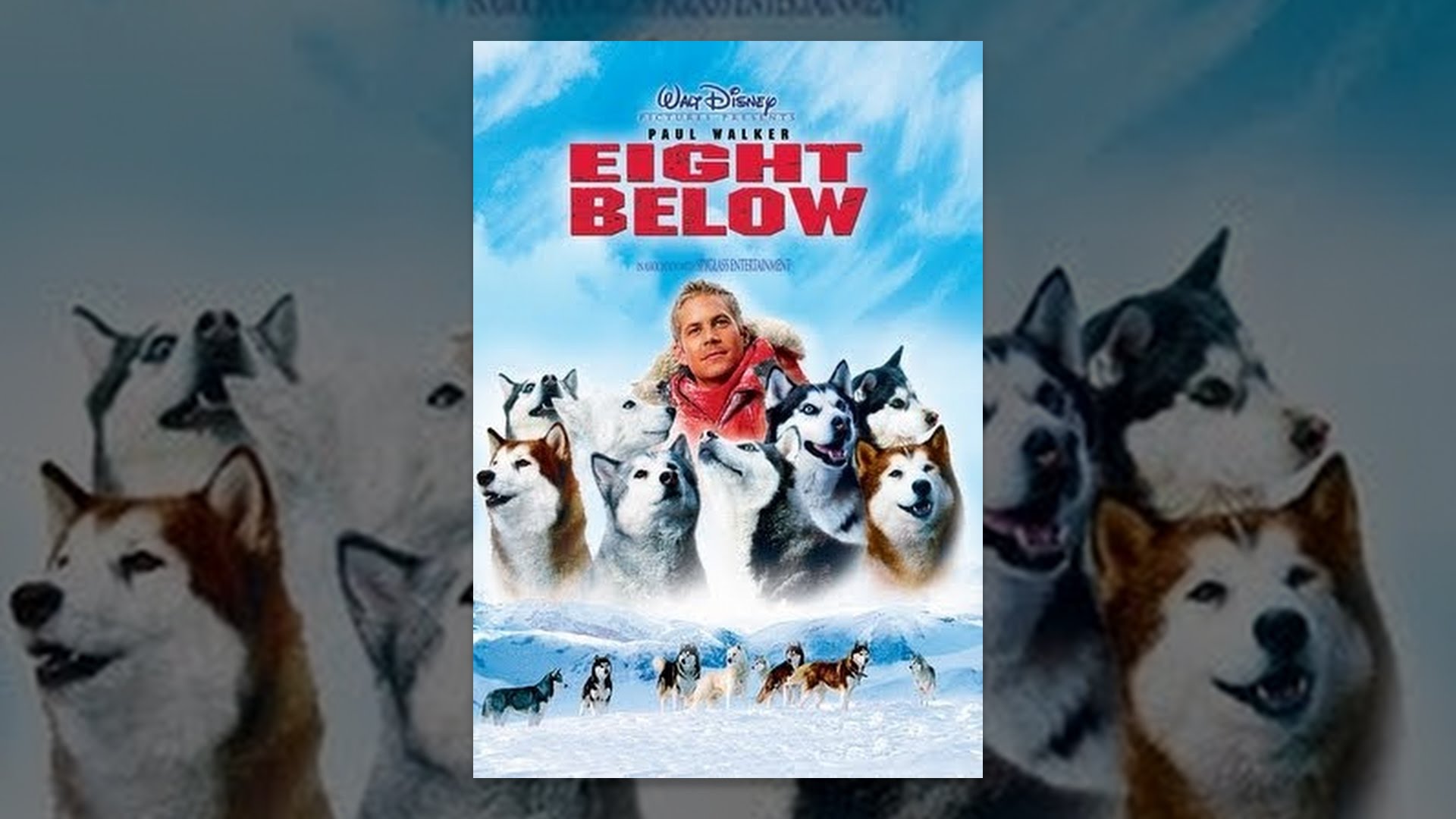 Eight Below