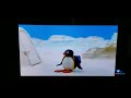 Pingu Throws Snowball At Window