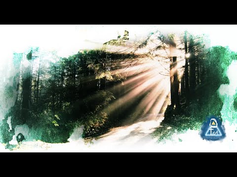 Que conocerte fue simplemente lo mejor - Hno. Fernando García - Tabernáculo Tercer Exodo