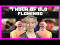1 Hour Of Old Flamingo Videos