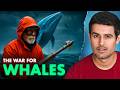 Inside Antarctica’s Secret Whale War | Dhruv Rathee DEFAULT Thumbnail