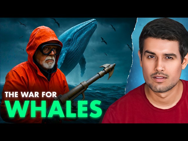 Inside Antarctica’s Secret Whale War | Dhruv Rathee SDDEFAULT Thumbnail