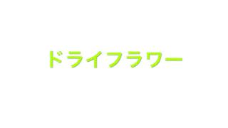 ドライフラワーをそっと歌ってみた。